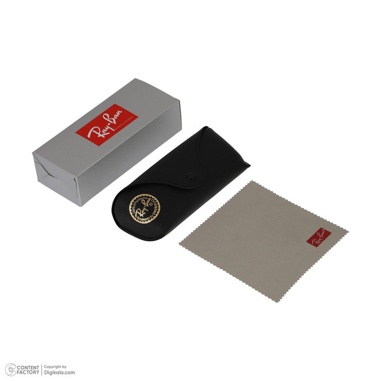 عینک آفتابی ری بن مدل RB3029-002/62