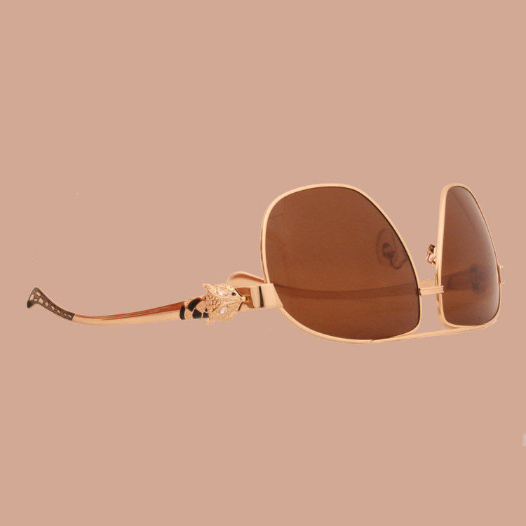 عینک آفتابی مدل CA820097-SuperLuxury