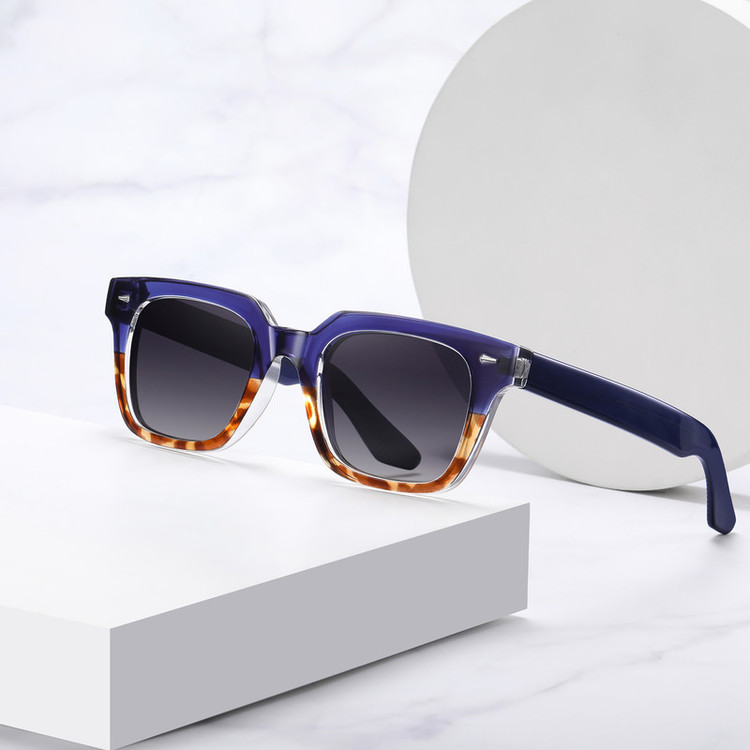 عینک آفتابی ویفرر آلبرت وگ مدل S31105C4 Polarized Avantgarde Visionary