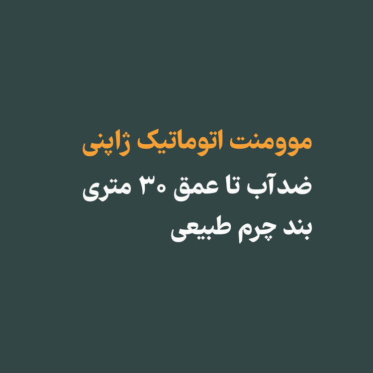 ساعت مچی عقربهای اتوماتیک مردانه آشتن مدل 7010C-SEK01