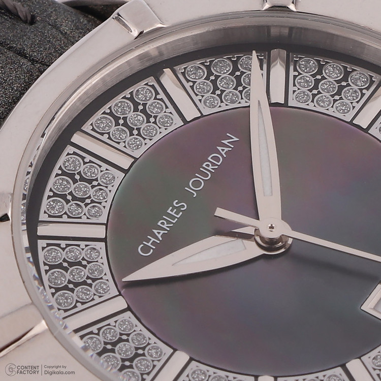 ساعت مچی عقربهای کوارتز زنانه چارلز جردن مدل Moon 184.22