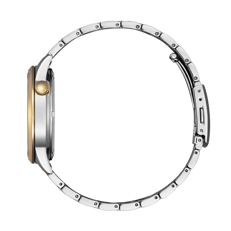 ساعت مچی عقربهای اتوماتیک مردانه سیتی زن مدل NH9136-88A